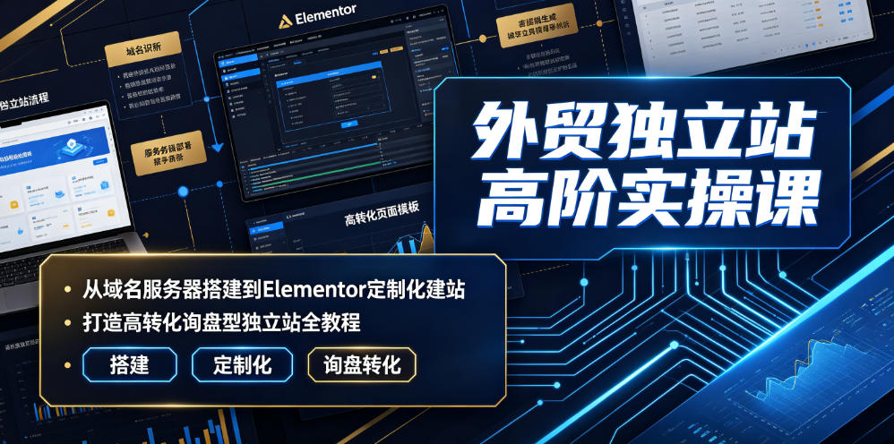 外贸独立站高阶实操课｜从域名服务器搭建到Elementor定制化建站，打造高转化询盘型独立站全教程-聚创源