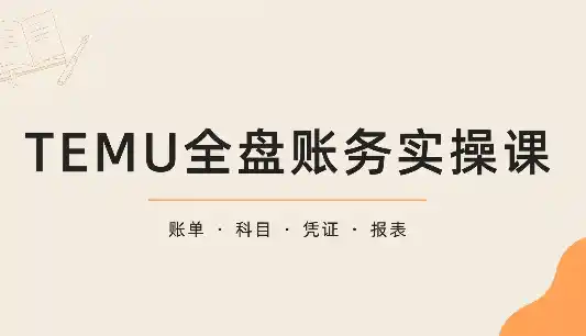 TEMU全盘账务实操课:账单导出、科目设置、利润核算 TEMU全盘账务实操课:账单导出、科目设置、利润核算