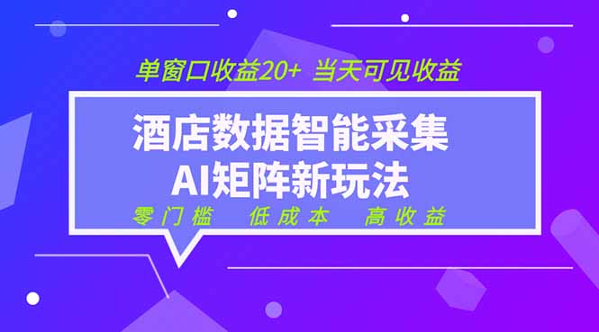 2026酒店数据采集ai智能矩阵新风口 低成本 高收益 当天见收益 单窗口20+-聚创源