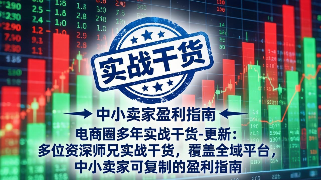 电商圈多年实战干货-更新2026:多位资深师兄实战干货/覆盖全域平台,中小卖家可复制的盈利指南-聚创源
