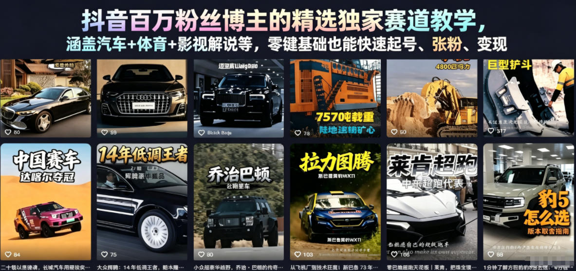 抖音百万粉丝博主的精选独家赛道教学，涵盖汽车+体育+影视解说等，零基础也能快速起号、涨粉、变现(更新0701)-聚创源